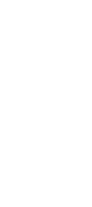 zigzag line